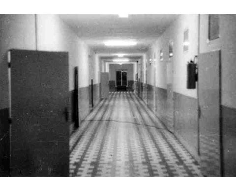Foto 43